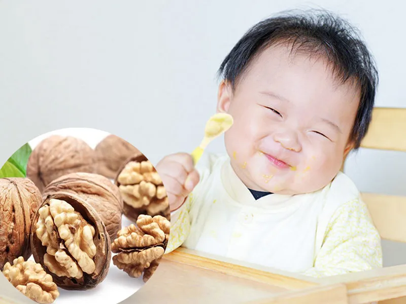 Trẻ từ 12 tháng tuổi trở lên mới nên ăn cháo hạt óc chó