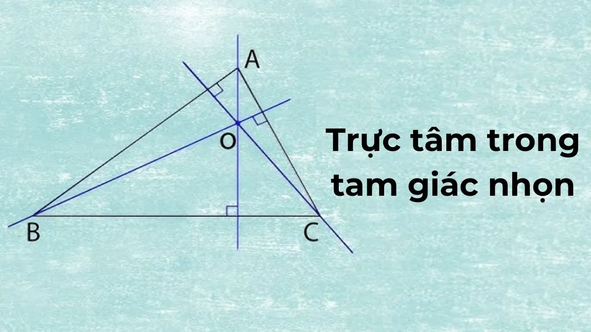 Trực tâm tam giác nhọn nằm bên trong