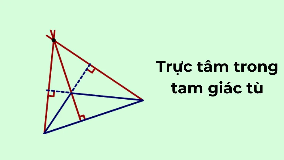 Trực tâm tam giác tù nằm bên ngoài