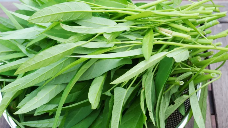 Thực phẩm gây sẹo và những đồ ăn nên kiêng khi bị vết thương hở.