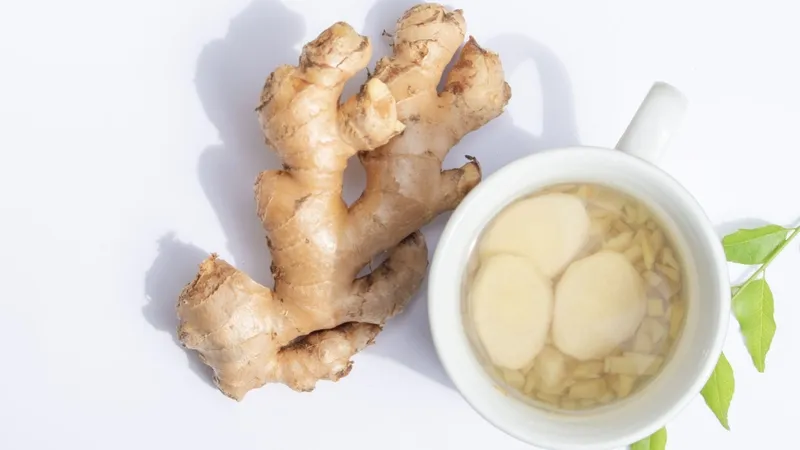 Tác động của gừng đối với quá trình đông máu và lành vết thương.