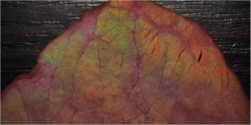 Thịt bò tươi có màu đỏ tươi và bề mặt khô ráo