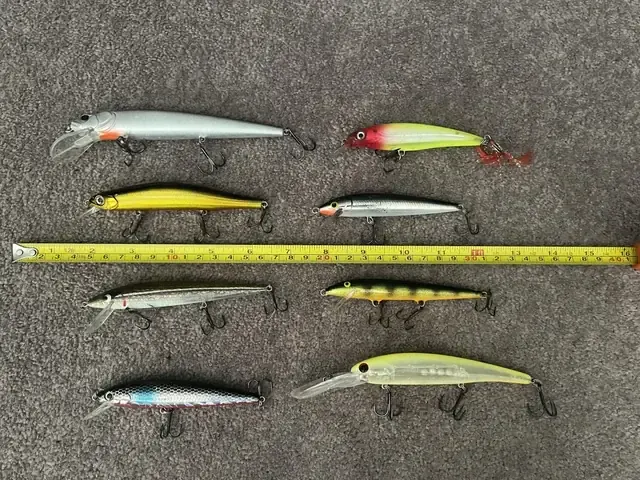 Nỗ lực bảo tồn cá Walleye và môi trường sống