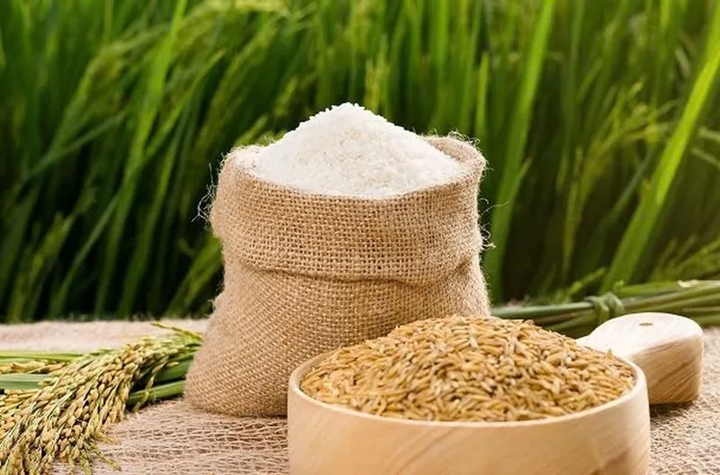 Nguyên liệu nấu xôi hoàng phố gồm nếp, nghệ tươi, hành khô