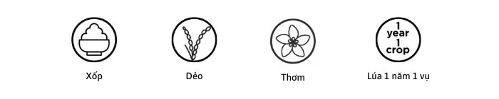 Cháo gạo tấm mềm xốp, độ sệt vừa phải